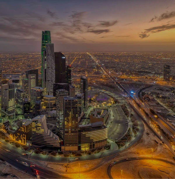 Propelling Riyadh into a Global City-Sectors-Propelling Riyadh into a Global City